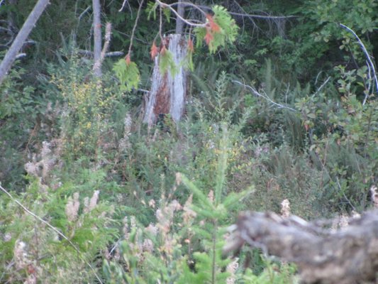 findbuck