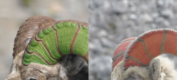 bases-compare-marked