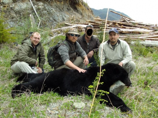 bear-photo-andy
