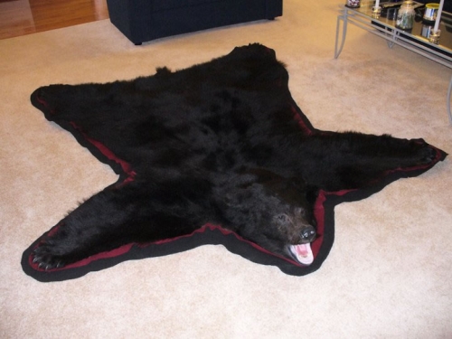 bear-rug